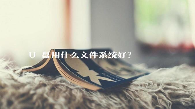 U 盘用什么文件系统好？