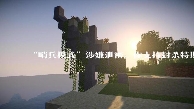“哨兵模式”涉嫌泄密，你支持封杀特斯拉吗？