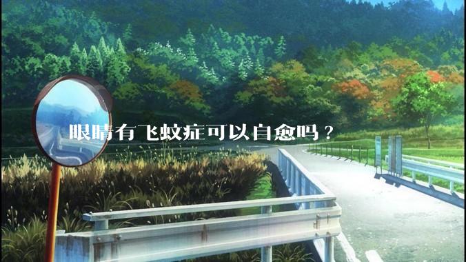 眼睛有飞蚊症可以自愈吗?