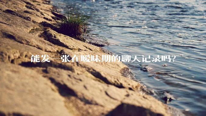 能发一张在暧昧期的聊天记录吗？
