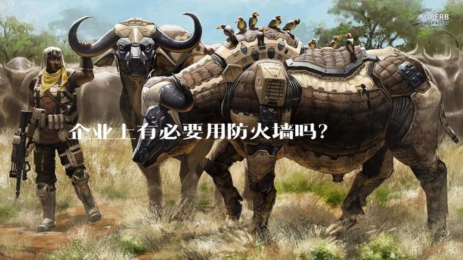 企业上有必要用防火墙吗？